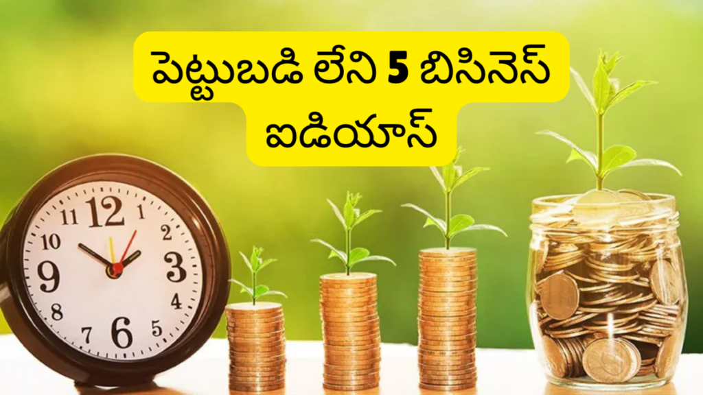 Zero Investment 5 Business Ideas in Telugu