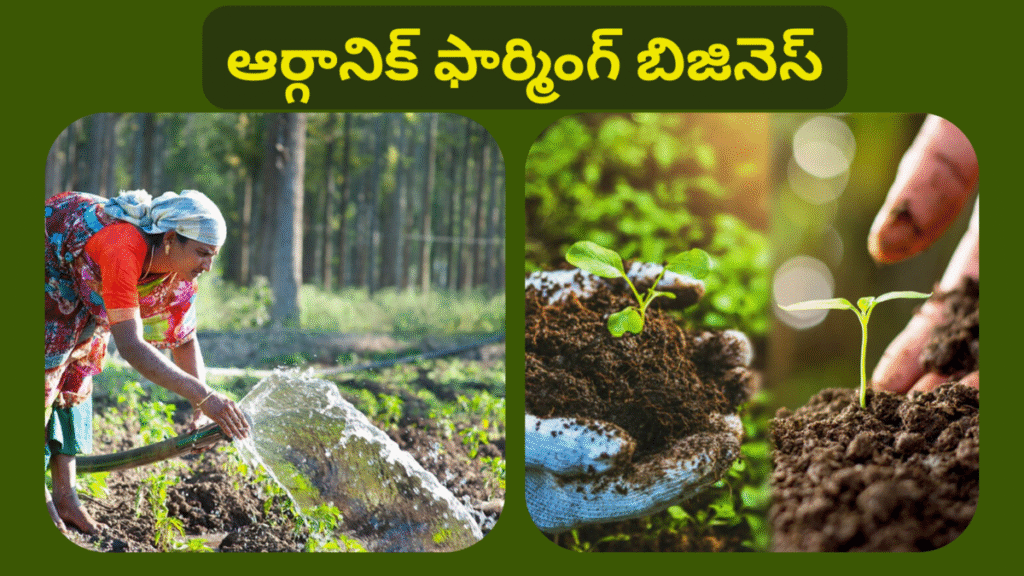 Organic Farming Business Idea In Telugu