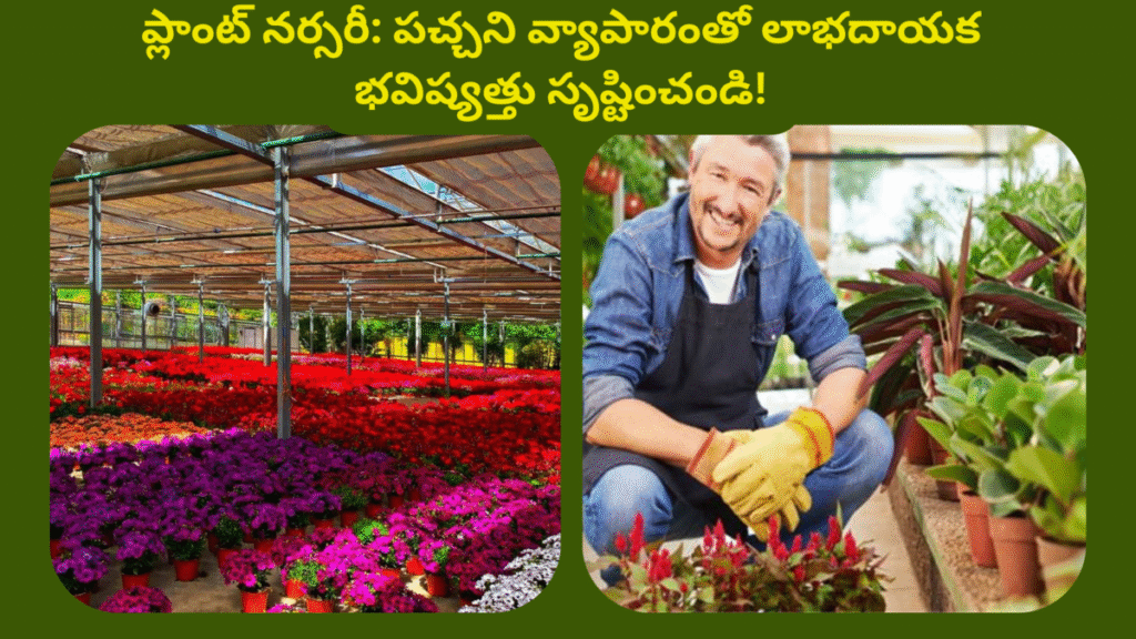 Plant Nursery Business Ideas In Telugu