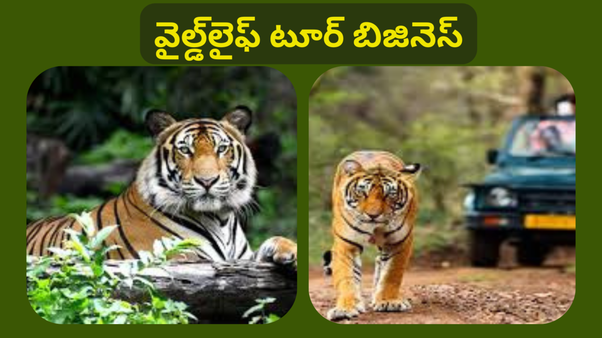 Wildlife Tour Business Idea In Telugu
